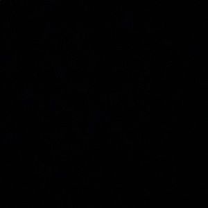 Meet your Posher, Summer